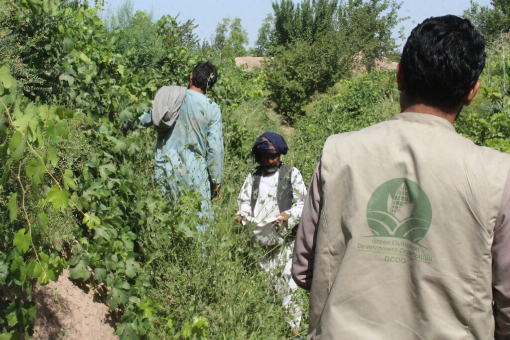 Environment and Climate Resilience