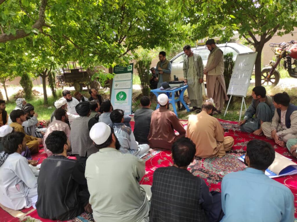 Capacity Building and Training